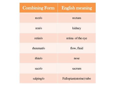 scrot o medical terminology.